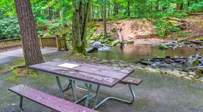 3 BEST PLACES TO PICNIC IN THE SMOKY MOUNTAINS